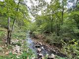 360 Acres Pigeon Creek Road - Photo 19