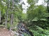 360 Acres Pigeon Creek Road - Photo 20