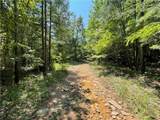 360 Acres Pigeon Creek Road - Photo 5