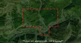 360 Acres Pigeon Creek Road - Photo 6