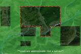 360 Acres Pigeon Creek Road - Photo 7