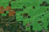 360 Acres Pigeon Creek Road - Photo 8