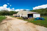 16380 Cove Creek Road - Photo 30