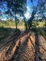 318 County Road 4502 - Photo 7
