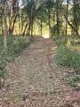 318 County Road 4502 - Photo 8