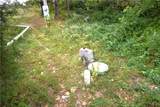 469581 815 Road - Photo 42