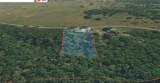 469581 815 Road - Photo 57