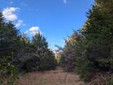  Pine Tree - Photo 2