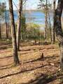 149 Driftwood Trail - Photo 13