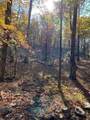 149 Driftwood Trail - Photo 14