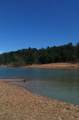 149 Driftwood Trail - Photo 18