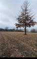 1687 County Road 3581 - Photo 4