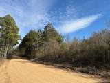  Moss Creek Road - Photo 12
