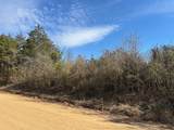  Moss Creek Road - Photo 13