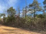  Moss Creek Road - Photo 9