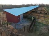 12425 Springtown Road - Photo 11