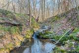 10288 Limekiln Road - Photo 3