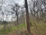 TBD Nicewarner Road - Photo 15