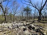 14117 Hogeye - Photo 11