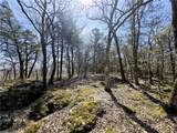 14117 Hogeye - Photo 12