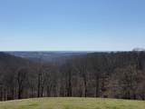 15731 Coose Hollow Drive - Photo 40