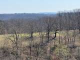 15731 Coose Hollow Drive - Photo 41