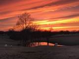 15731 Coose Hollow Drive - Photo 42
