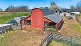 15731 Coose Hollow Drive - Photo 5