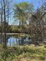 3705 Highway 311 - Photo 38