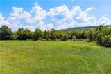 4.83 Acres On Martin Luther King - Photo 12