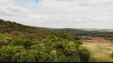 14731 Bush Road - Photo 59