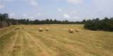 1550 Tbd County Road - Photo 2