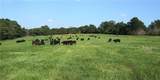 1550 Tbd County Road - Photo 4