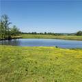 933 Walnut Road - Photo 1