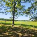 933 Walnut Road - Photo 17