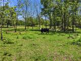10645 Winningham Road - Photo 38