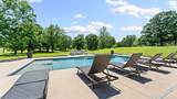 13725 Mt Olive - Photo 39