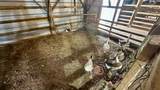 13585 Andy Jack Road - Photo 41