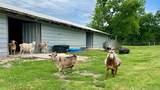 13585 Andy Jack Road - Photo 46