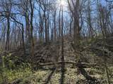 22.40AC Rocky Dell Hollow Road - Photo 25