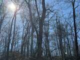 22.40AC Rocky Dell Hollow Road - Photo 27