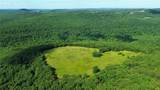 120 Acres Zinnamon Church Road - Photo 18