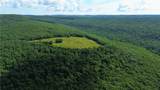 120 Acres Zinnamon Church Road - Photo 19