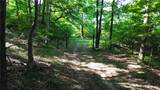 120 Acres Zinnamon Church Road - Photo 8