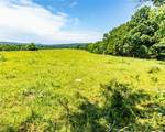 12930 Baker Mountain Road - Photo 13