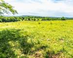 12930 Baker Mountain Road - Photo 14