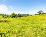 12930 Baker Mountain Road - Photo 16