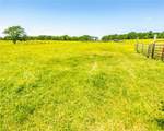 12930 Baker Mountain - Photo 5