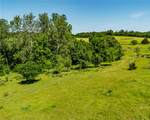 12930 Baker Mountain - Photo 6