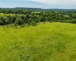12930 Baker Mountain - Photo 9